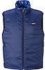 Patagonia Micro Puff Vest