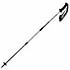 photo of a Trek-Tech trekking pole