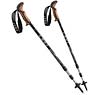 photo of a trekking pole