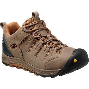 photo of a trail shoe