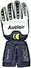 Auclair Moon Lander