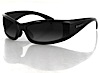 Bobster Polarized Defender
