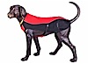 D-Fa Sub-Woofer