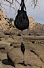 Drink Safe Systems Waterbag