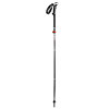 Leki Micro Stick