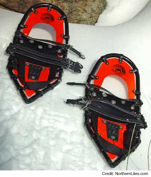 Northern Lites Elite Racer