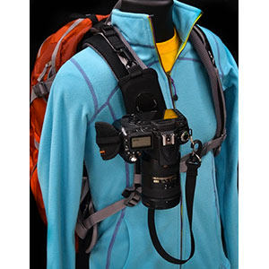 Cotton Carrier Strapshot