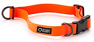 Stunt Puppy Dry Collar