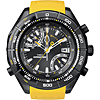 Timex E-Altimeter