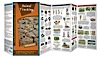 Waterford Press Duraguide Animal Tracking