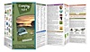 Waterford Press Duraguide Camping 101