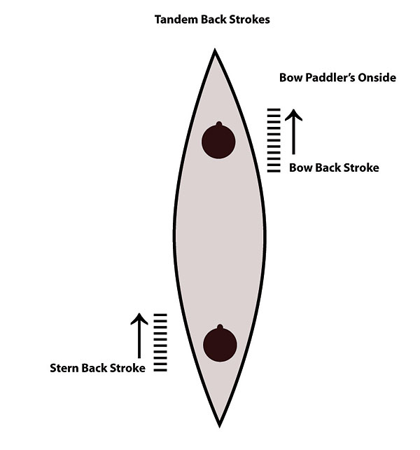 Canoeing Strokes And Skills Canoeing Strokes 1 The Forward Stroke Reach Forward With Both The Shaft And Grip Hands And Place The Paddle In The Water Then Simply Draw It Straight Back With The Face Of The Blade Perpendicular To The Water Twisting Your