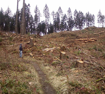 Clear-cut logging in the Columbia Cascades. Clear-cut logging in the Columbia Cascades.
