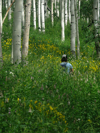 Alicia hiking in the Wasatch Range