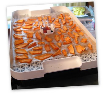 Food Dehydrator