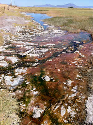 Alvord Hot Springs. Alvord Hot Springs.