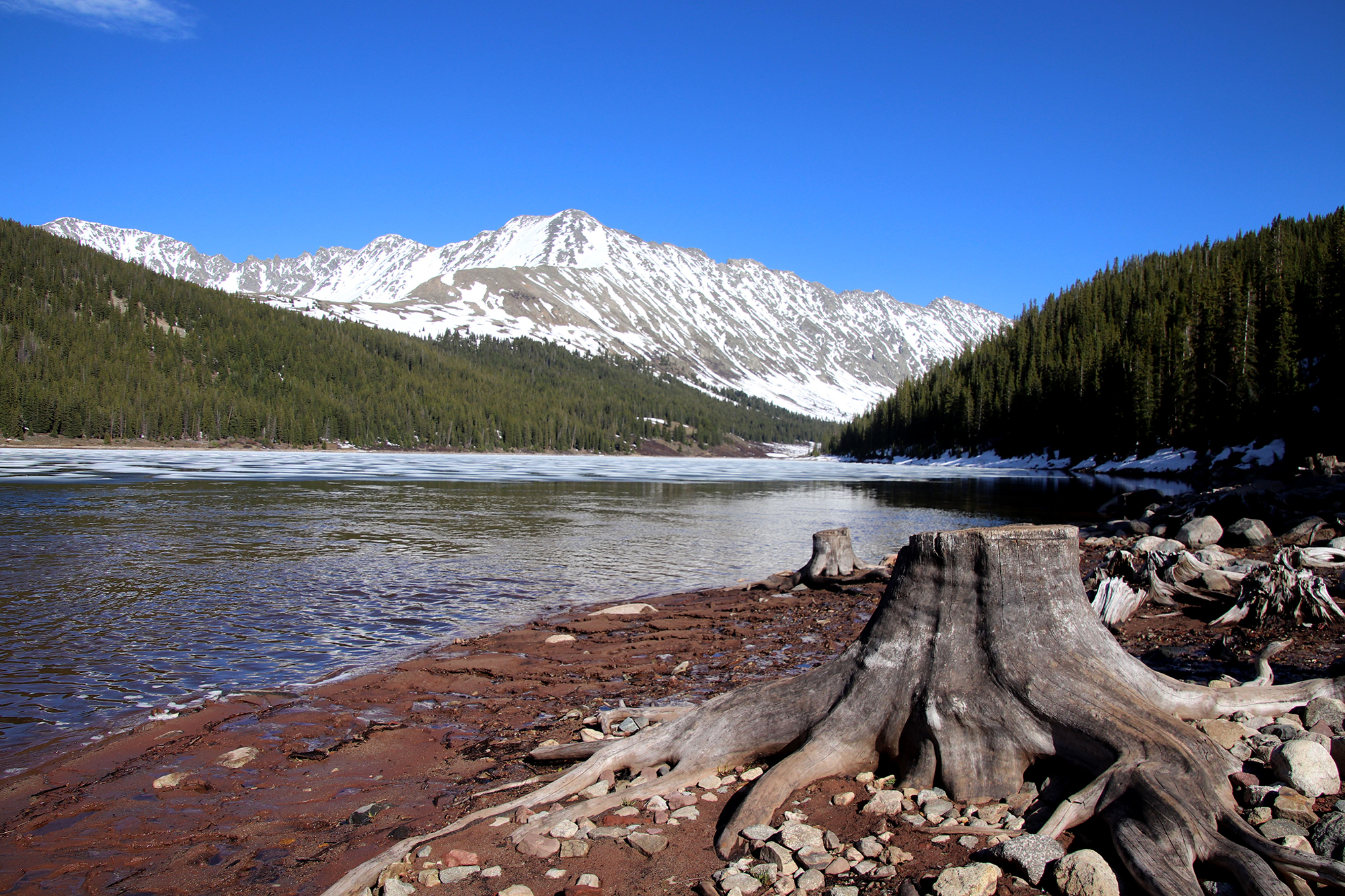 How to poop and pee on the trail: your guide to going when you need to go