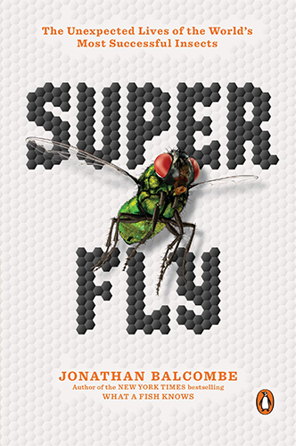 superfly500.jpg