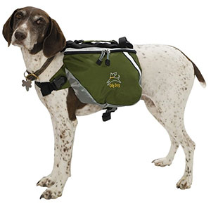 photo of a dog gear