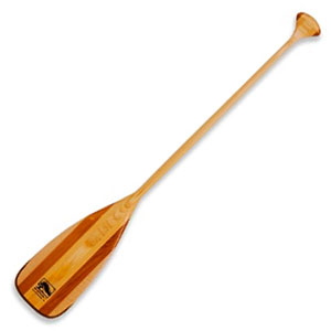photo of a paddle