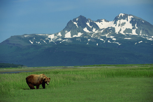 Hiking in bear clearance country