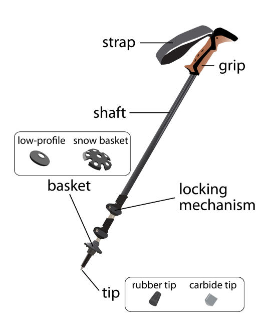 nordic walking pole accessories