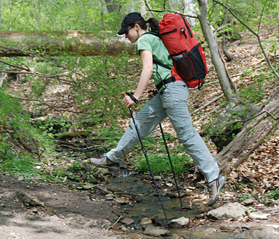 backpacking trekking pole