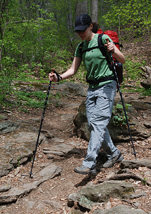 hiker walking pole